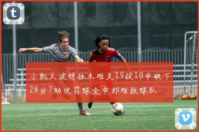 小凯文波特独木难支19投10中砍下28分7助攻罚球全中却难救球队